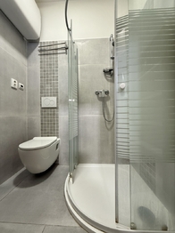 Pronájem bytu 2+kk v osobním vlastnictví 43 m², Plzeň