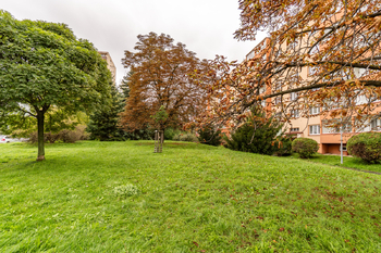 Pronájem bytu 1+kk v osobním vlastnictví 25 m², Praha 10 - Záběhlice