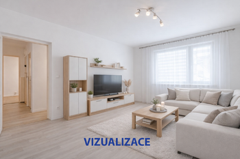 Prodej bytu 2+1 v družstevním vlastnictví 53 m², Most