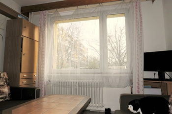 Pronájem bytu 1+1 v osobním vlastnictví 35 m², Hradec Králové