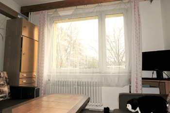 Pronájem bytu 1+1 v osobním vlastnictví 35 m², Hradec Králové