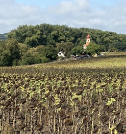 Prodej pozemku 1070 m², Přívětice