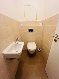 Pronájem bytu 1+kk v osobním vlastnictví 50 m², Rosice