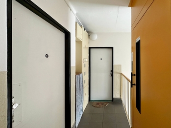 Pronájem bytu 2+1 v družstevním vlastnictví 58 m², České Budějovice