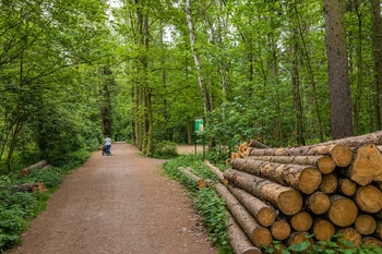 Pronájem bytu 3+1 v osobním vlastnictví 68 m², Kladno