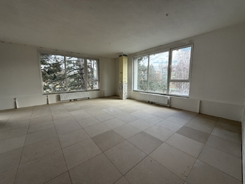 Pronájem komerčního prostoru 47 m², Ostrava