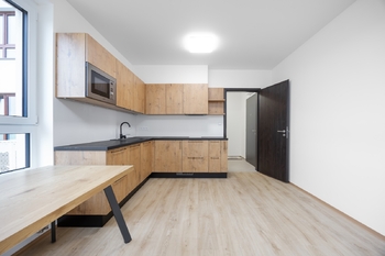 Pronájem bytu 1+kk v družstevním vlastnictví 32 m², Praha 10 - Dolní Měcholupy