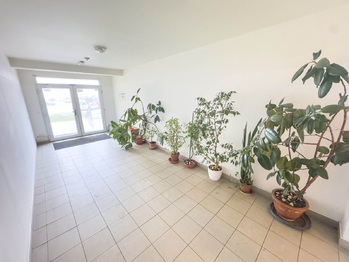 chodba domu - Prodej bytu 1+kk v osobním vlastnictví 38 m², Klecany