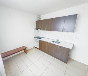 kuchyň - Prodej bytu 1+kk v osobním vlastnictví 38 m², Klecany 