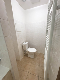 toaleta - Prodej bytu 1+kk v osobním vlastnictví 38 m², Klecany