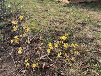 Prodej pozemku 414 m², Vnorovy