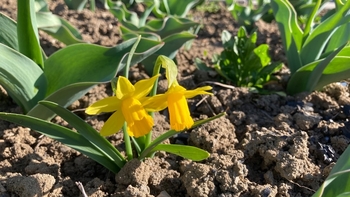 Prodej pozemku 414 m², Vnorovy