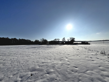 Prodej domu 130 m², Olbramice