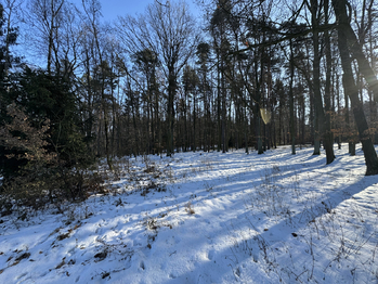 Prodej domu 130 m², Olbramice