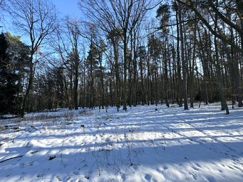 Prodej domu 130 m², Olbramice