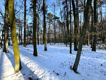 Prodej domu 130 m², Olbramice