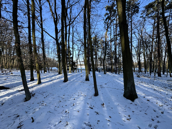 Prodej domu 130 m², Olbramice