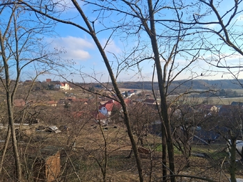 Prodej pozemku 491 m², Dyje