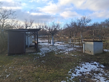 Prodej pozemku 491 m², Dyje