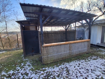 Prodej pozemku 491 m², Dyje