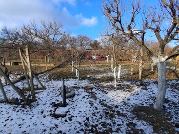 Prodej pozemku 491 m², Dyje