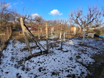 Prodej pozemku 491 m², Dyje