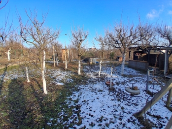 Prodej pozemku 491 m², Dyje