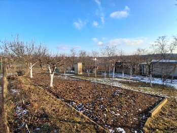 Prodej pozemku 491 m², Dyje