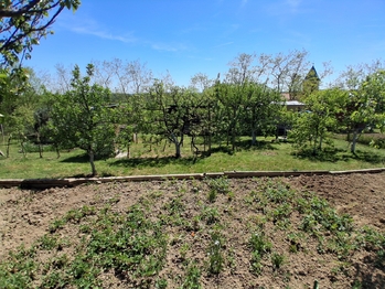 Prodej pozemku 579 m², Dyje