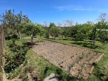 Prodej pozemku 579 m², Dyje