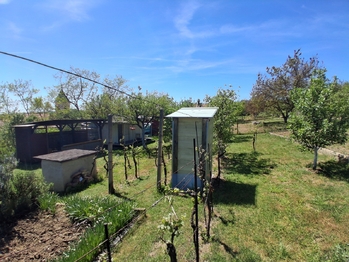 Prodej pozemku 579 m², Dyje