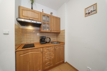 Prodej bytu 1+kk v osobním vlastnictví 30 m², Ostružná