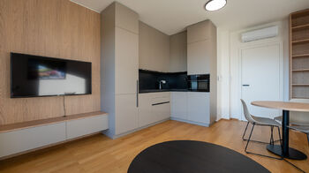 Pronájem bytu 2+kk v osobním vlastnictví 50 m², Brno