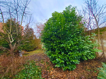 Prodej domu 120 m², Měňany