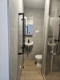 Pronájem bytu 1+1 v osobním vlastnictví 39 m², Český Těšín