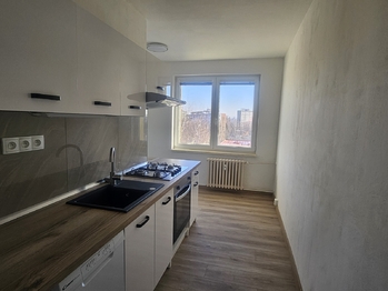 Pronájem bytu 1+1 v osobním vlastnictví 39 m², Český Těšín