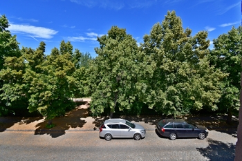 VÝHLED Z POKOJŮ - Prodej bytu 2+1 v osobním vlastnictví 86 m², Plzeň