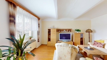 1.N.P. - Prodej domu 250 m², Tuřany