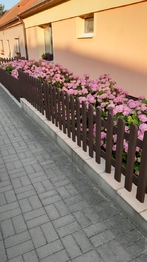 předzahrádka - Prodej domu 250 m², Tuřany