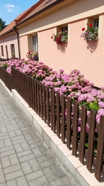 Prodej domu 250 m², Tuřany