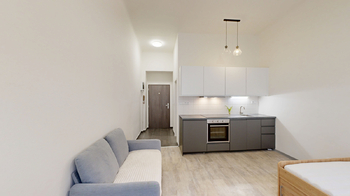 pokoj - Prodej bytu 1+kk v osobním vlastnictví 26 m², Praha 3 - Žižkov