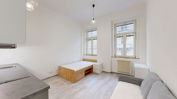 pokoj - Prodej bytu 1+kk v osobním vlastnictví 26 m², Praha 3 - Žižkov