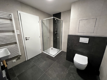 Koupelna - Pronájem bytu 1+kk v osobním vlastnictví 55 m², Jihlava