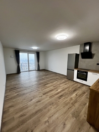 Obývací pokoj a kuchyňský kout  - Pronájem bytu 1+kk v osobním vlastnictví 55 m², Jihlava