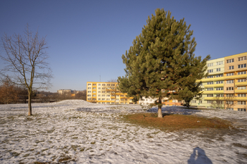 Prodej bytu 3+1 v družstevním vlastnictví 79 m², Ostrava