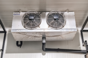 Pronájem jiných prostor 12 m², Plzeň