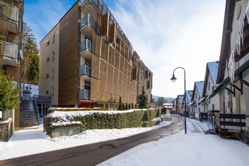 Prodej bytu 1+kk v osobním vlastnictví 35 m², Harrachov