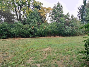 Pronájem pozemku 700 m², Praha 10 - Hostivař