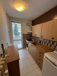 Pronájem bytu 2+1 v osobním vlastnictví 51 m², Jindřichův Hradec