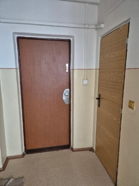 Prodej bytu 2+kk v družstevním vlastnictví 40 m², Most